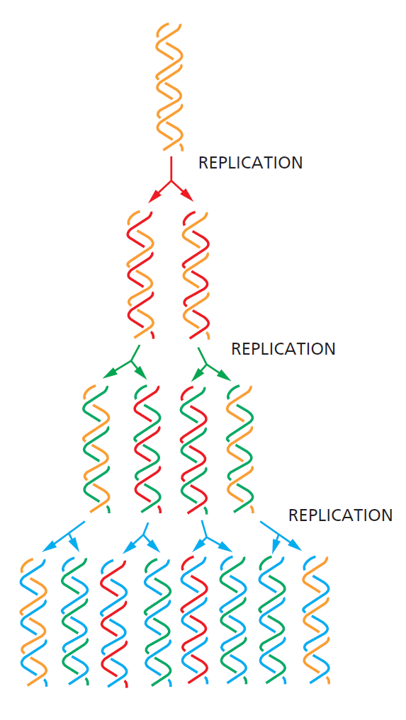 Figure 5-5.png